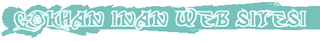 Web Banner
